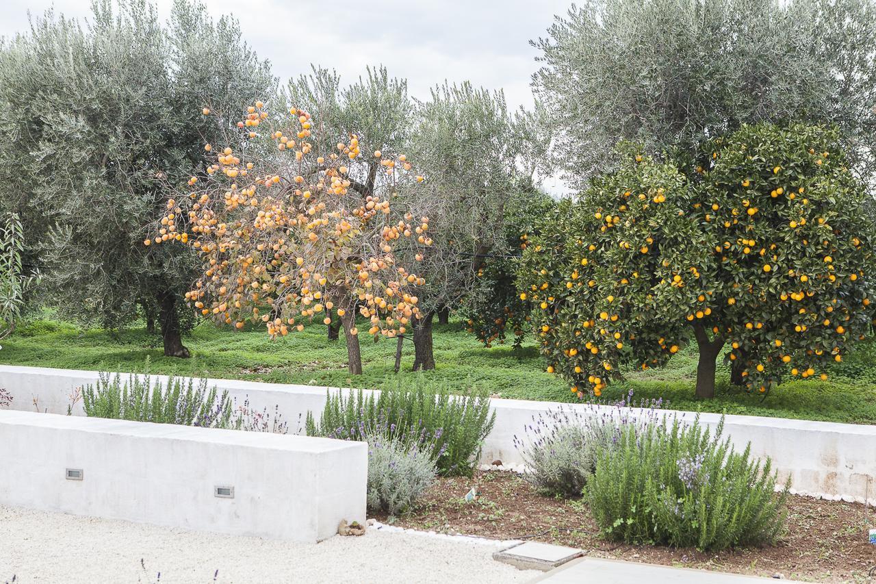 Le Stanze Di Meli Bed & Breakfast Palagianello Dış mekan fotoğraf